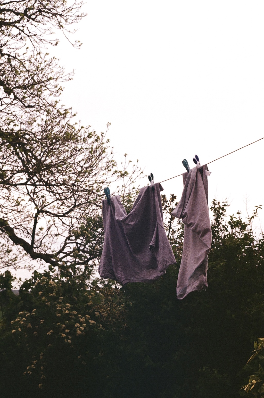 laundry on film
